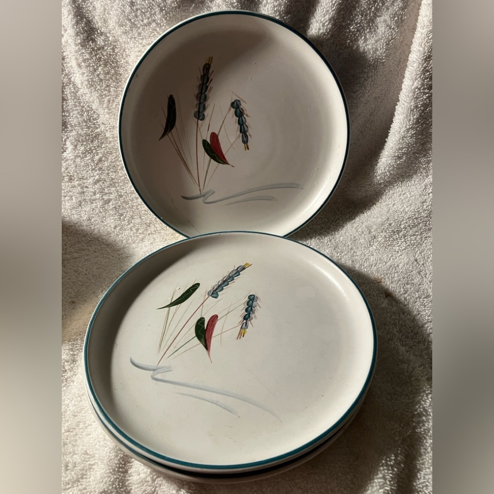 3 Denby Wheatgrass 8 1/4” Salad Plates with Floral Design